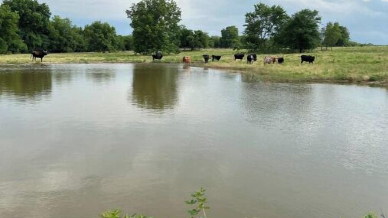 Photo of Others in Fitzhugh