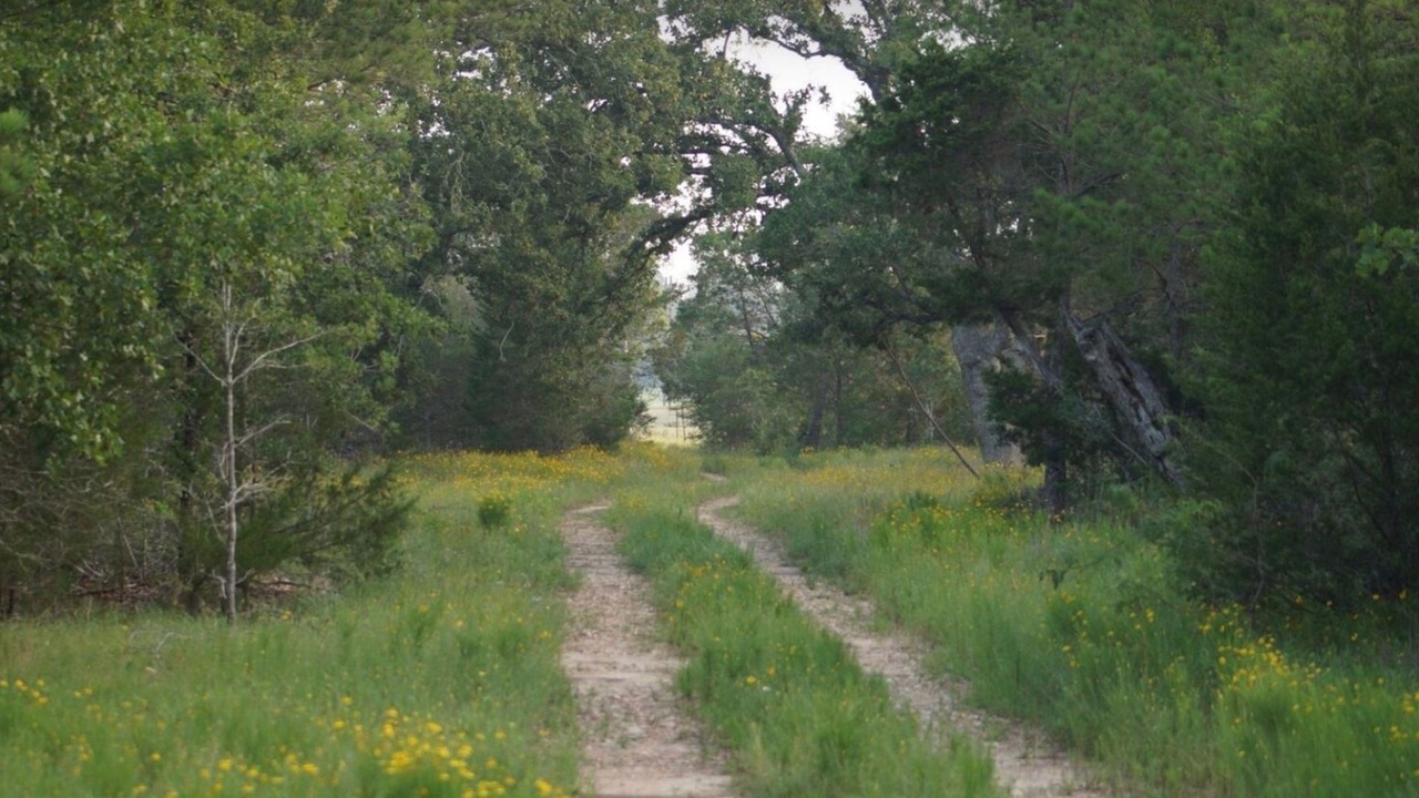 Photo of Others in La Grange