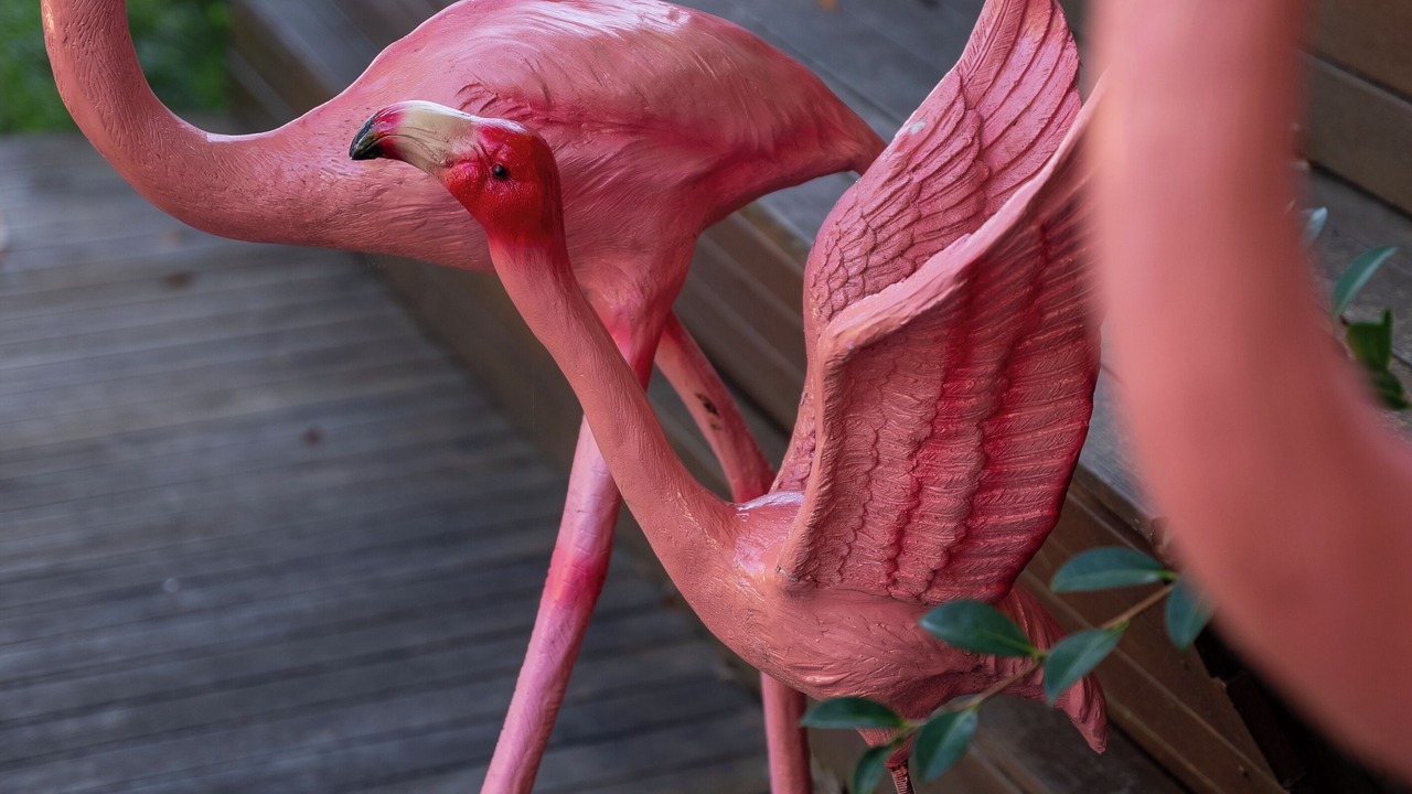 Photo of Outdoor in Oatley