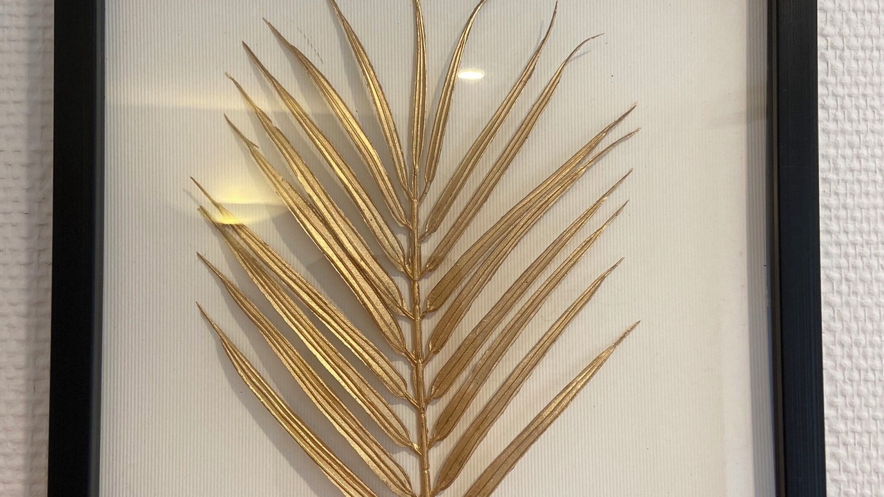 Photo of Others in Cherbourg-en-Cotentin