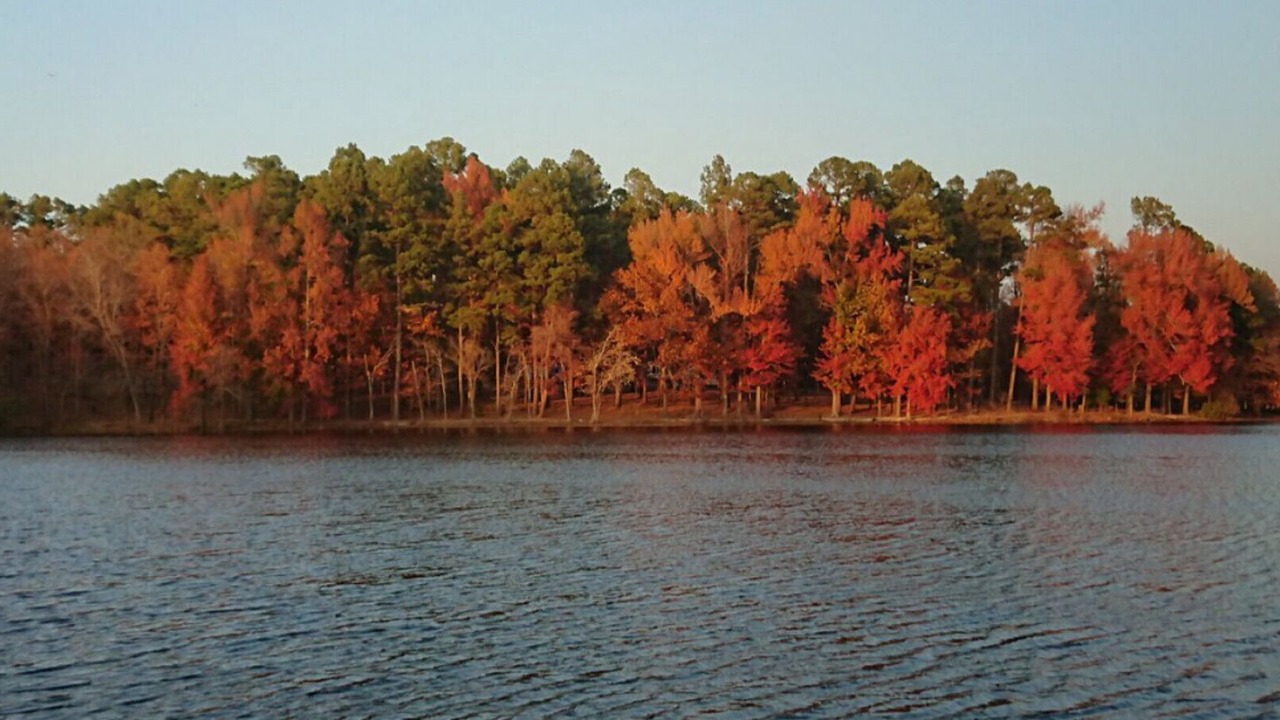 Photo of Others in Fayetteville