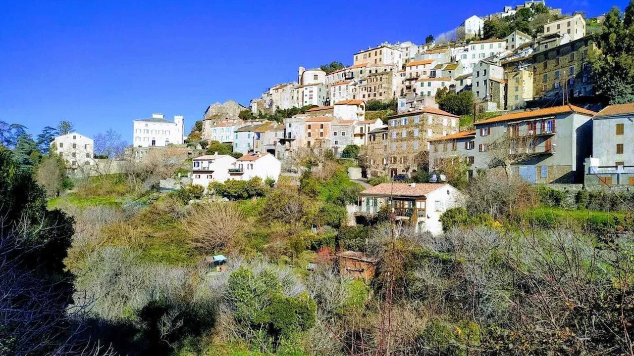Photo of Others in Saint-Florent