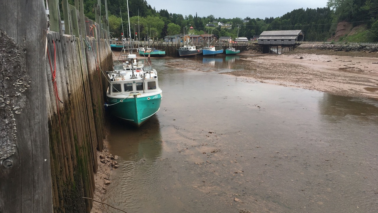 Photo of Others in West Quaco