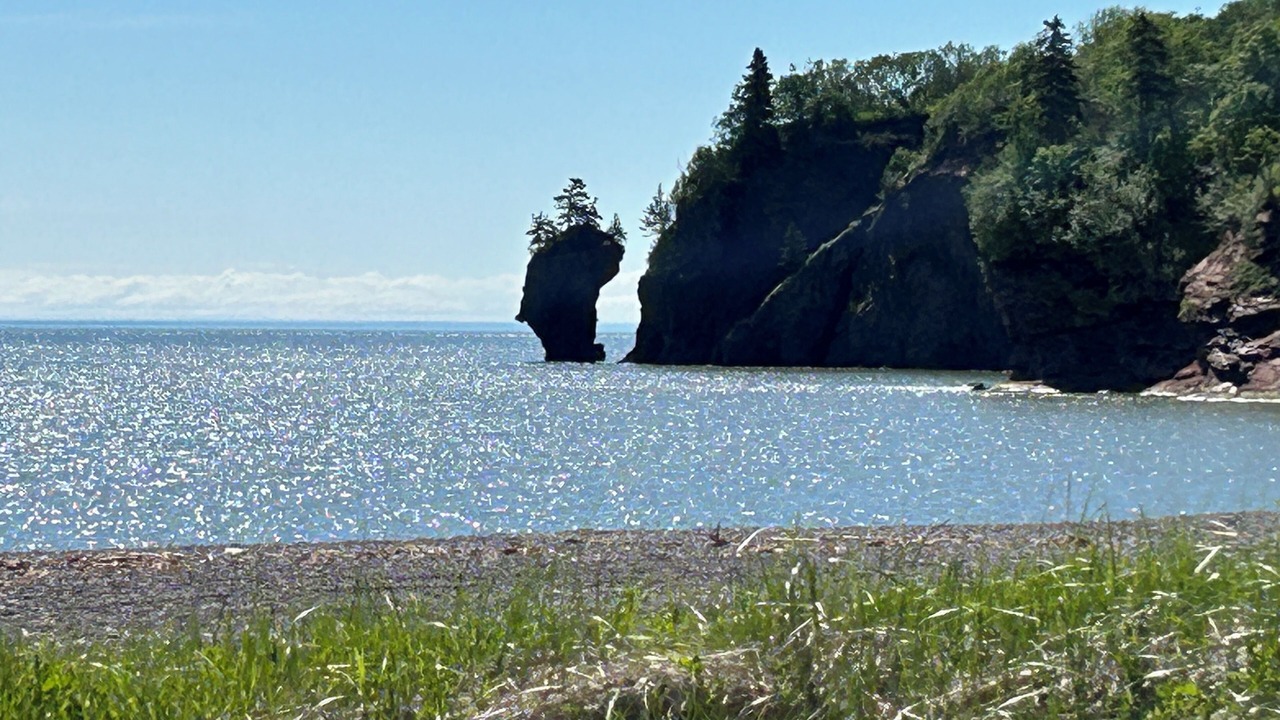 Photo of Others in West Quaco