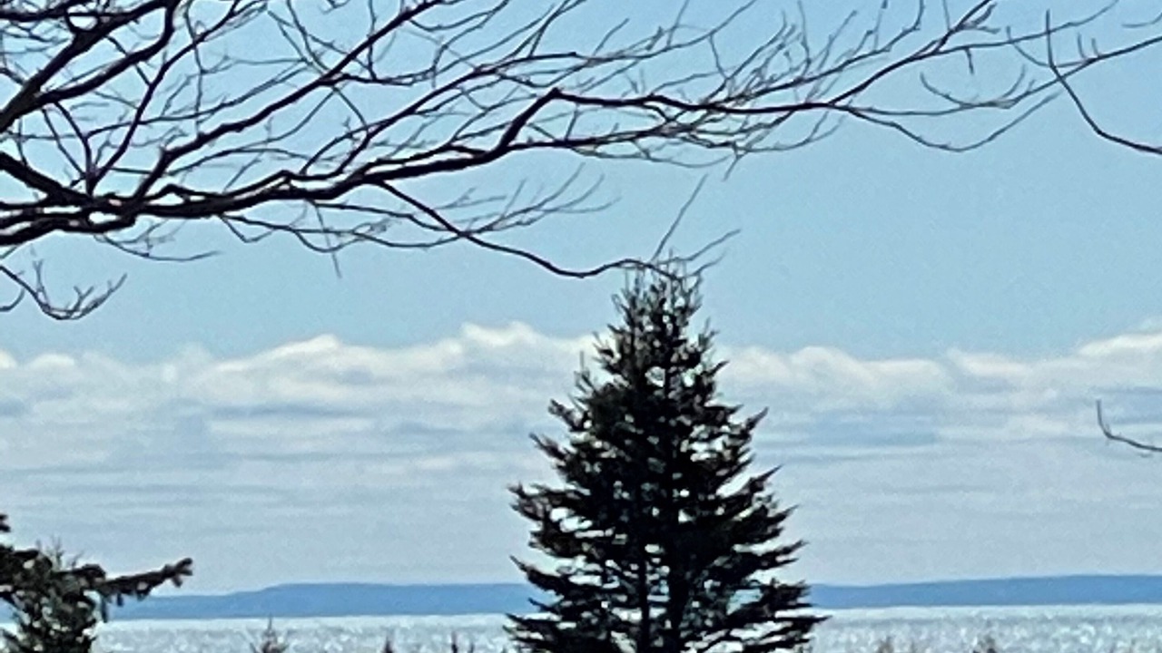 Photo of Others in West Quaco