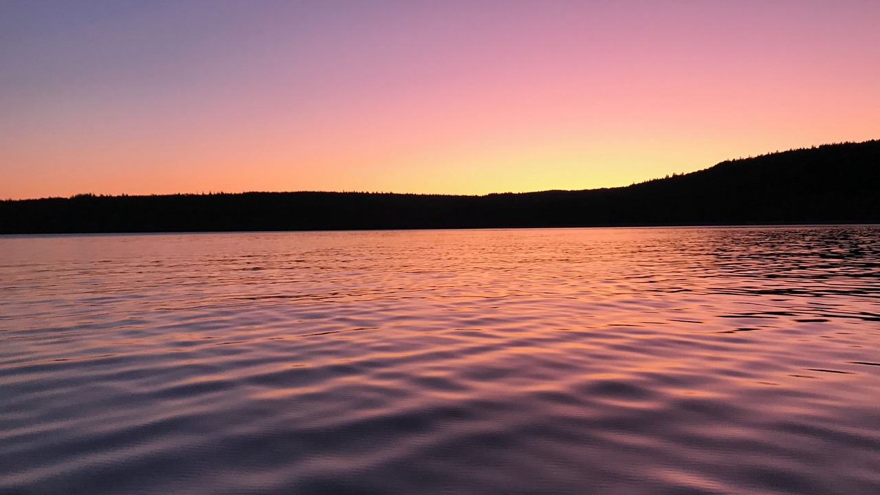 Photo of Others in West Quaco