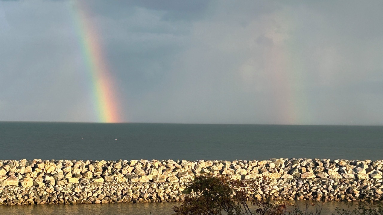 Photo of Others in West Quaco