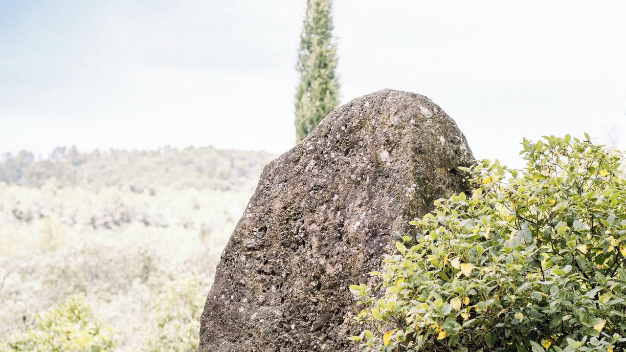 Photo of Others in Cazedarnes