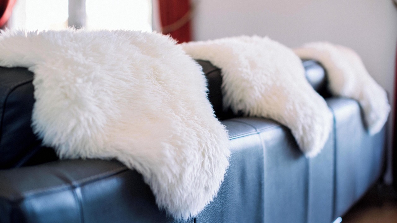 Photo of Others in Siran