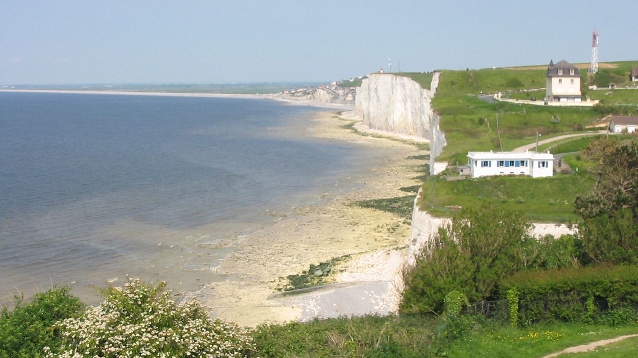 Photo of Others in Ault