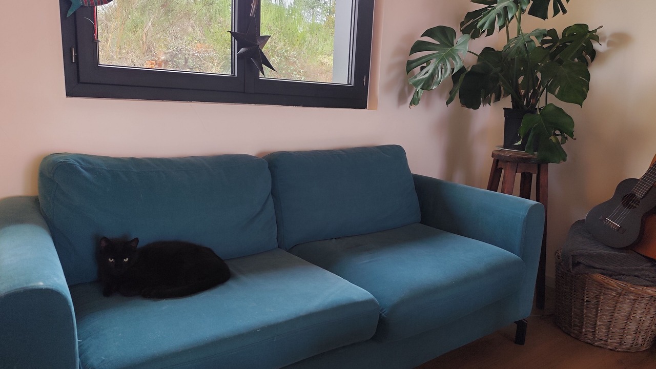 Photo of Livingroom in Busque
