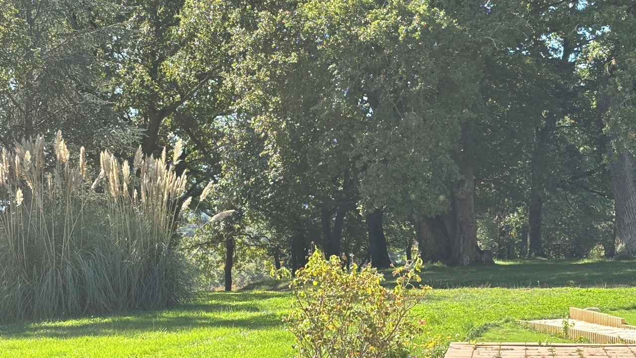 Photo of Outdoor in Bezac