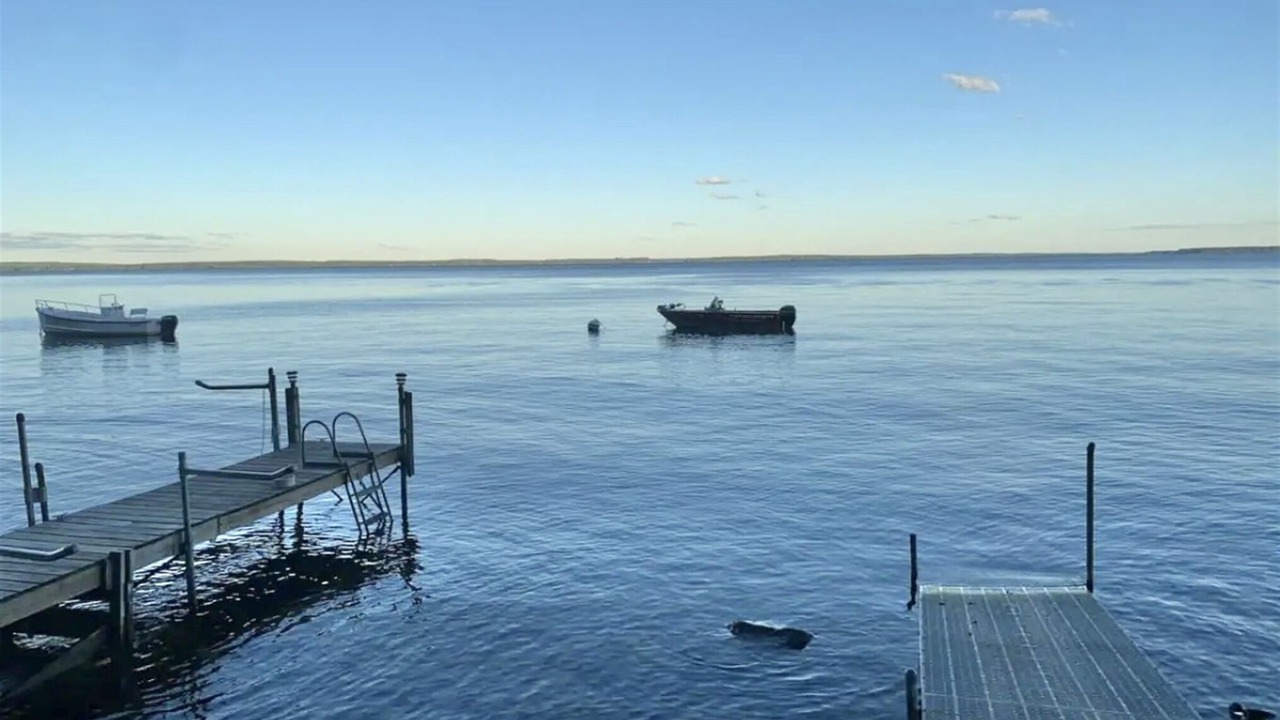 Photo of Others in North Sebago