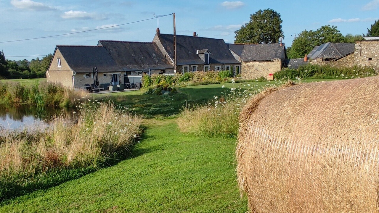 Photo of Outdoor in Saint-Fort