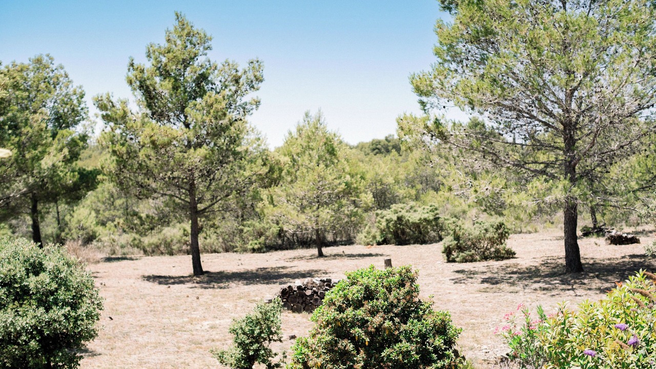 Photo of Others in Siran