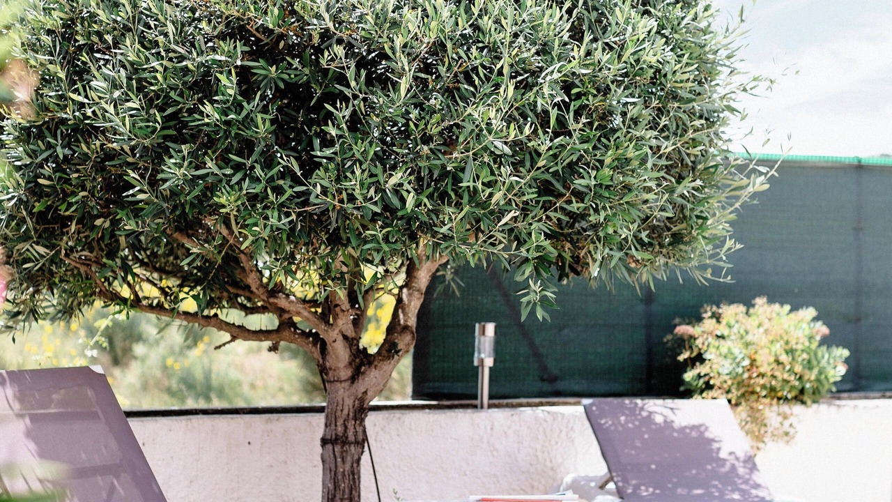 Photo of Outdoor in Pouzols-Minervois
