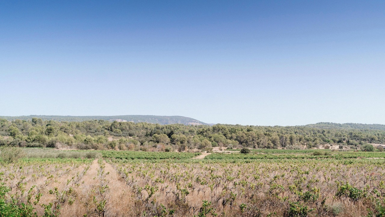 Photo of Others in Trausse