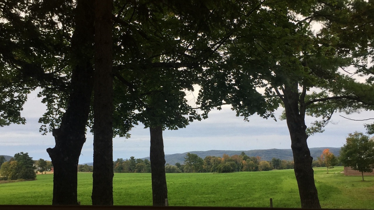 Photo of Others in Lenox Dale