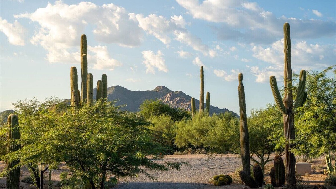 Photo of Others in Pinnacle Peak