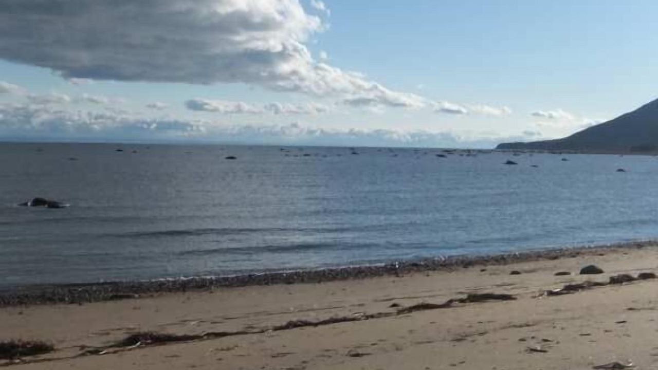 Photo of Others in Petite-Riviere-Saint-Francois