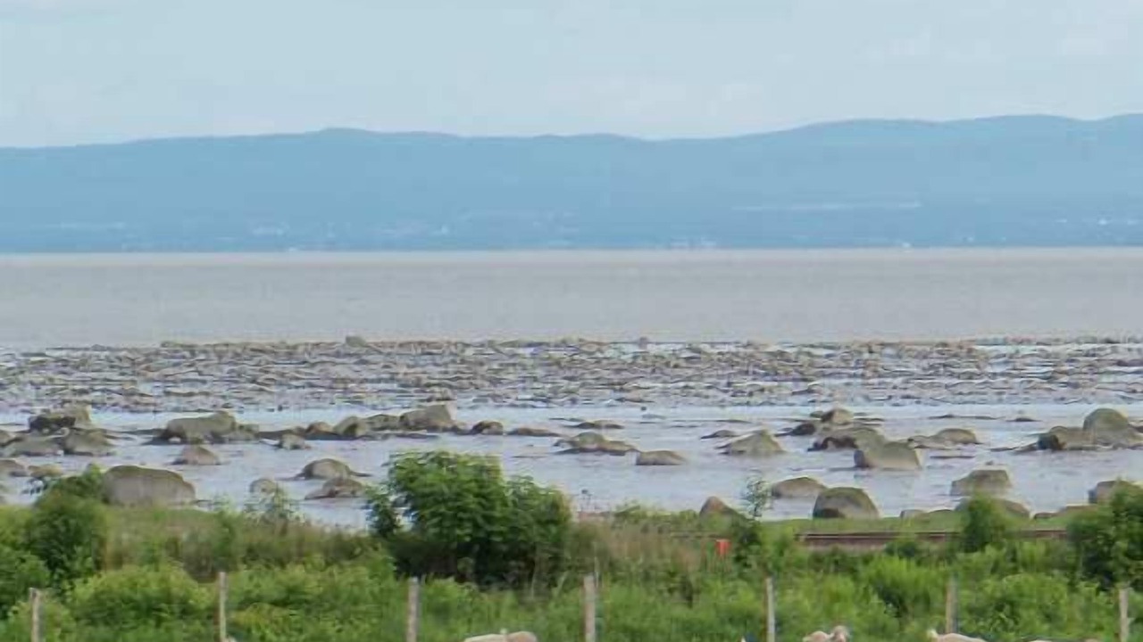 Photo of Others in Petite-Riviere-Saint-Francois
