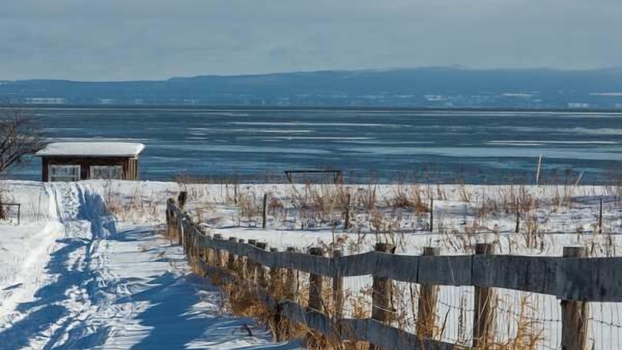 Photo of Others in Petite-Riviere-Saint-Francois