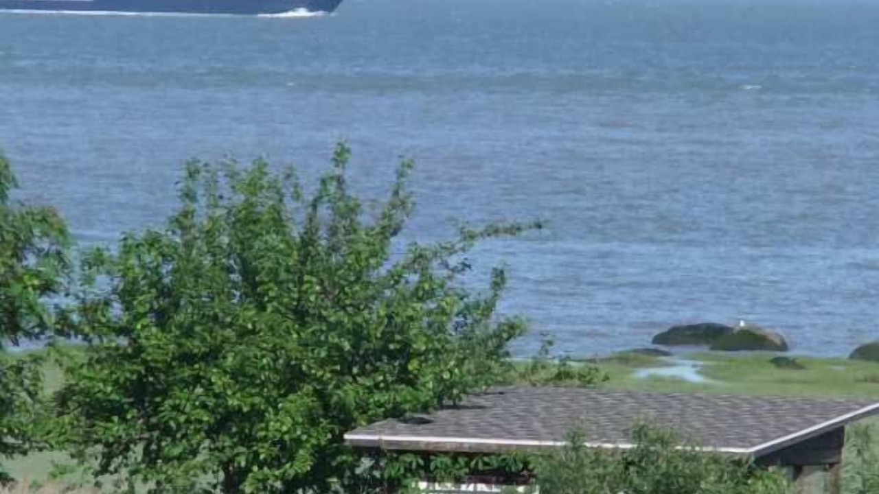 Photo of Others in Petite-Riviere-Saint-Francois