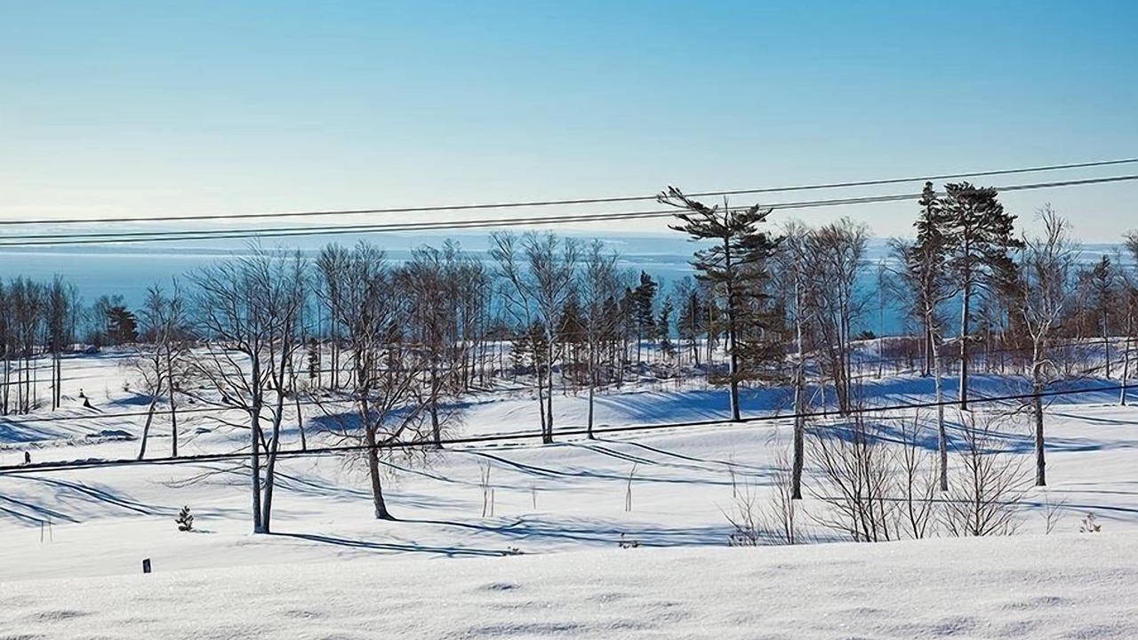 Photo of Others in Pointe-au-Pic