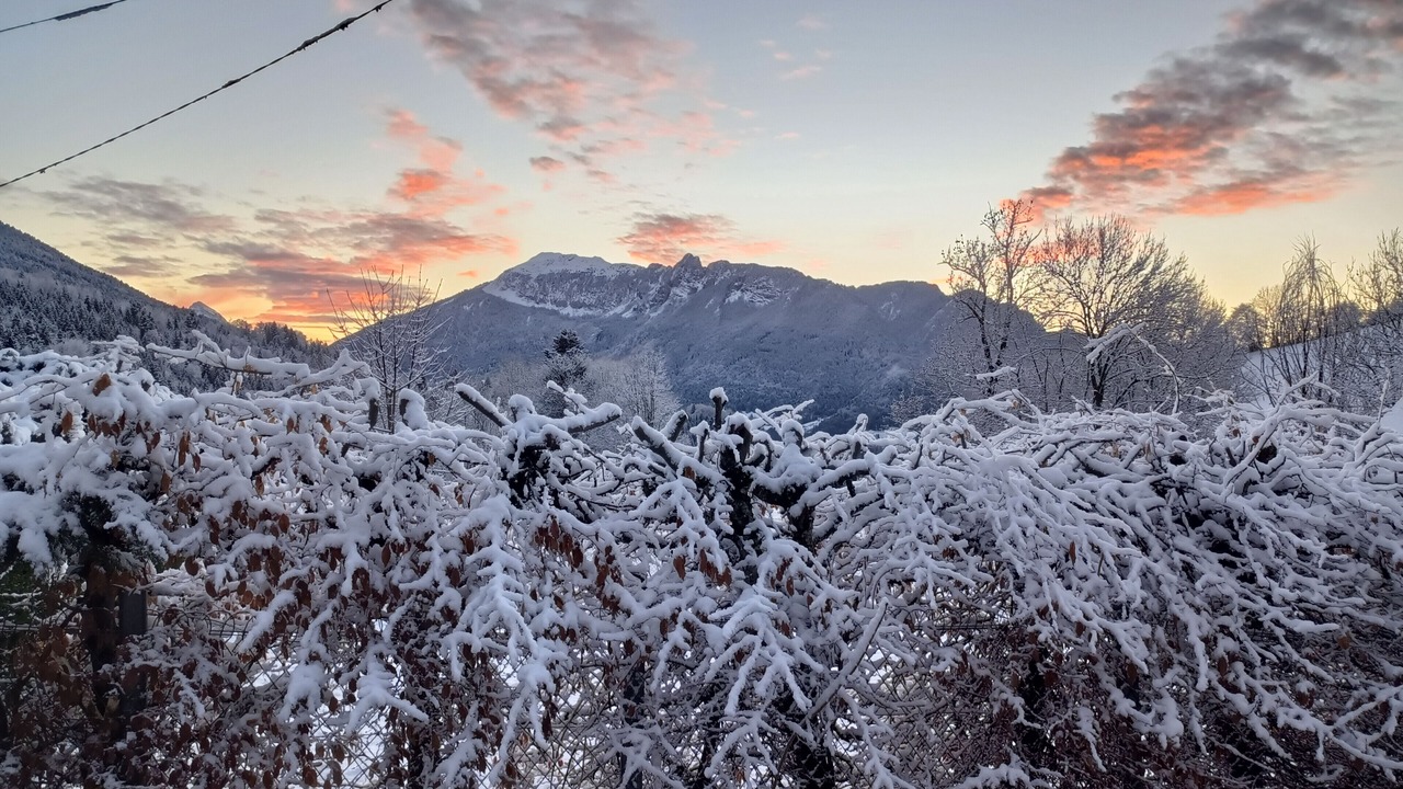 Photo of Others in Saint-Pierre-d'Entremont