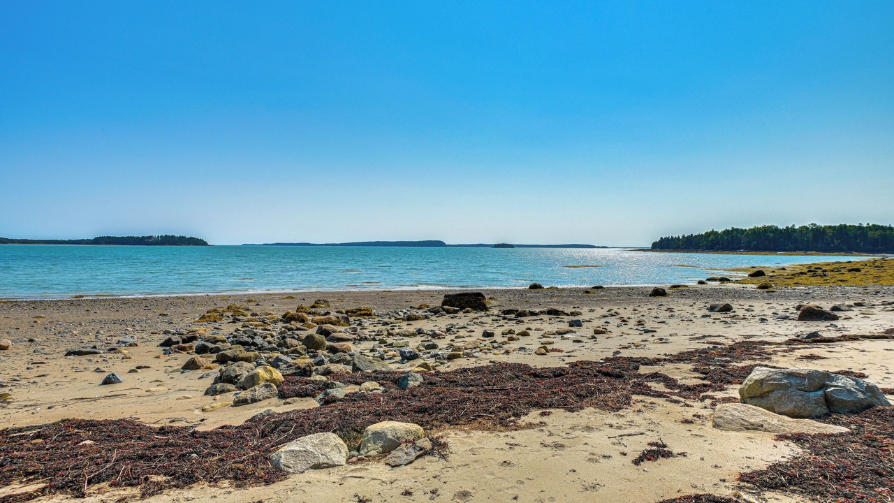 Photo of Others in Roque Bluffs