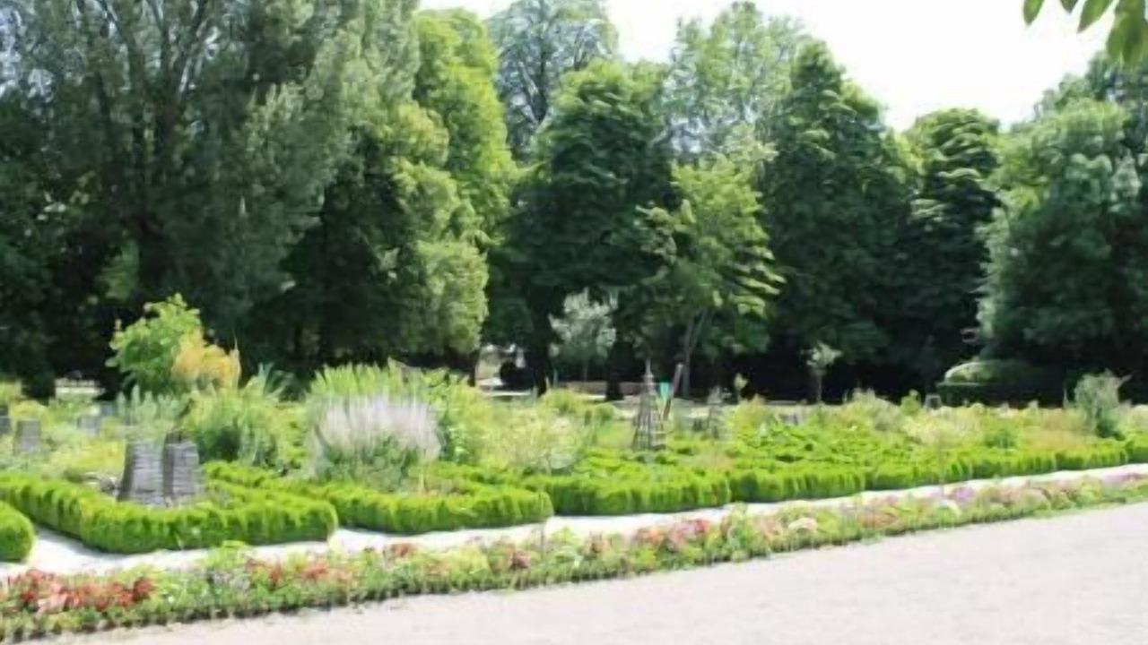 Photo of Others in Dijon