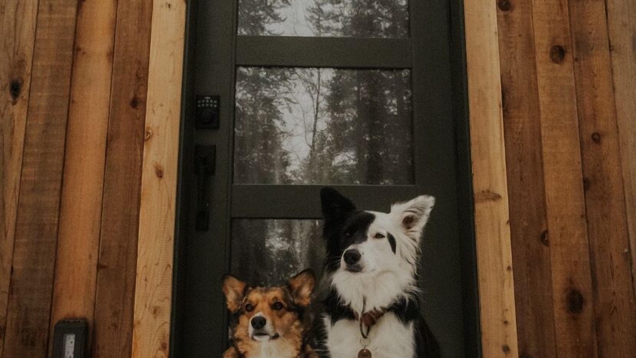 Photo of Others in Donnelly