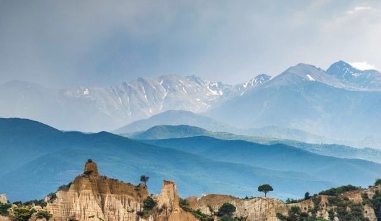 Photo of Others in Vinca