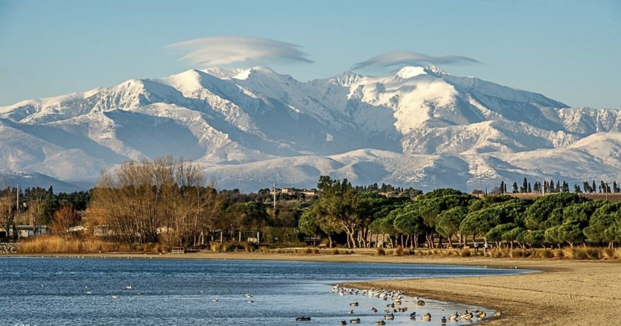 Photo of Others in Vinca