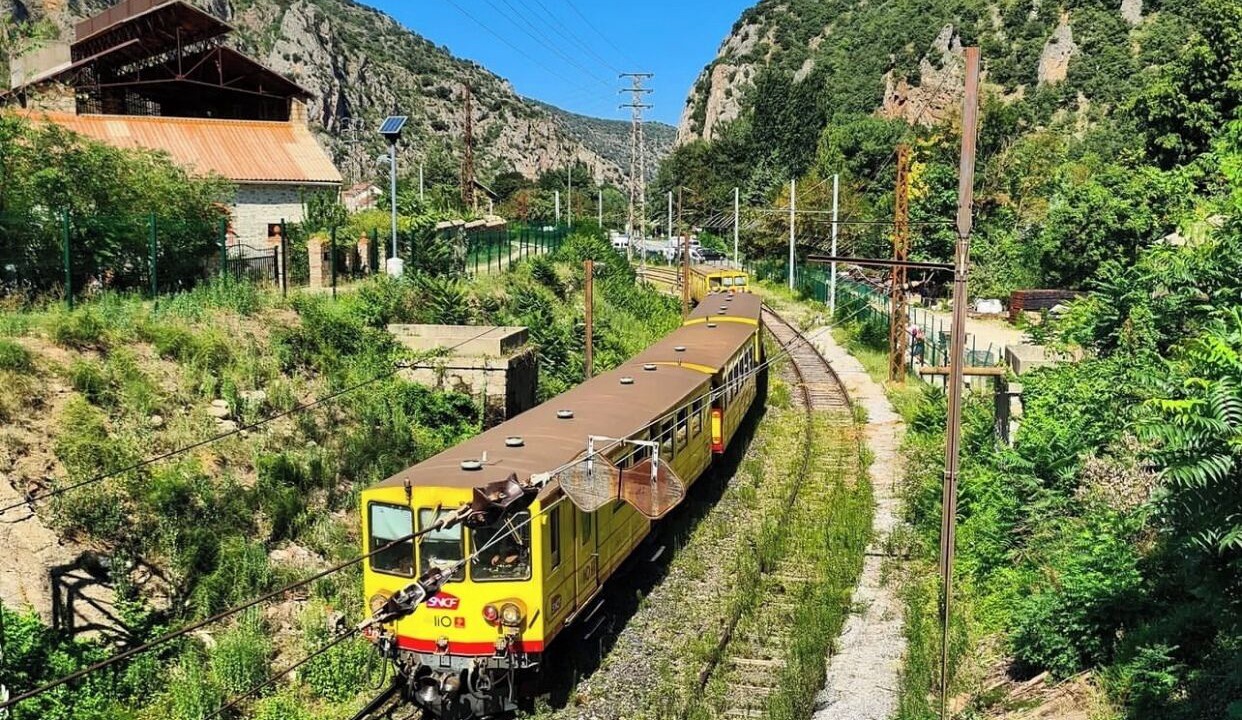 Photo of Others in Vinca