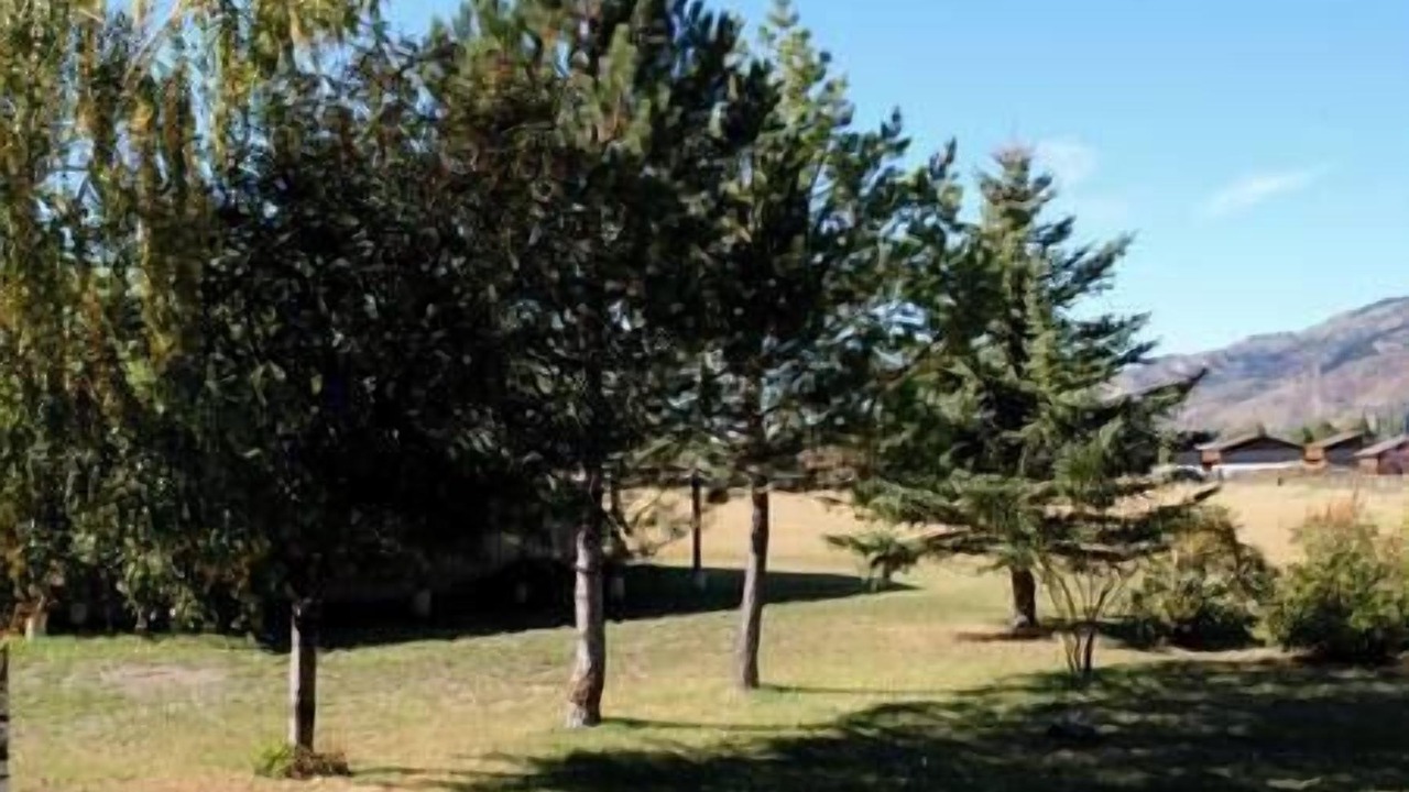 Photo of Others in Alpine Northwest