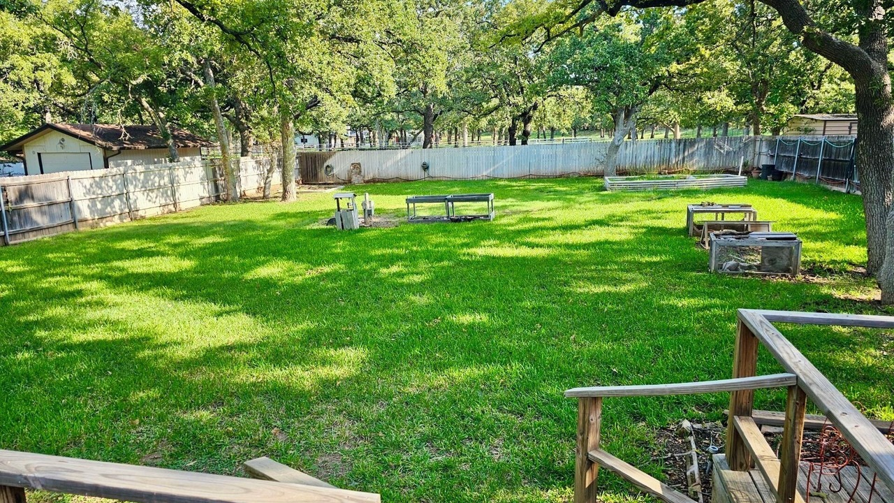 Photo of Outdoor in Early