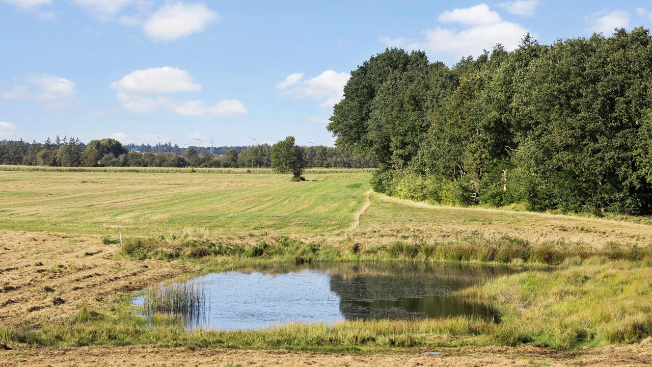 Photo of Bedroom in Padborg