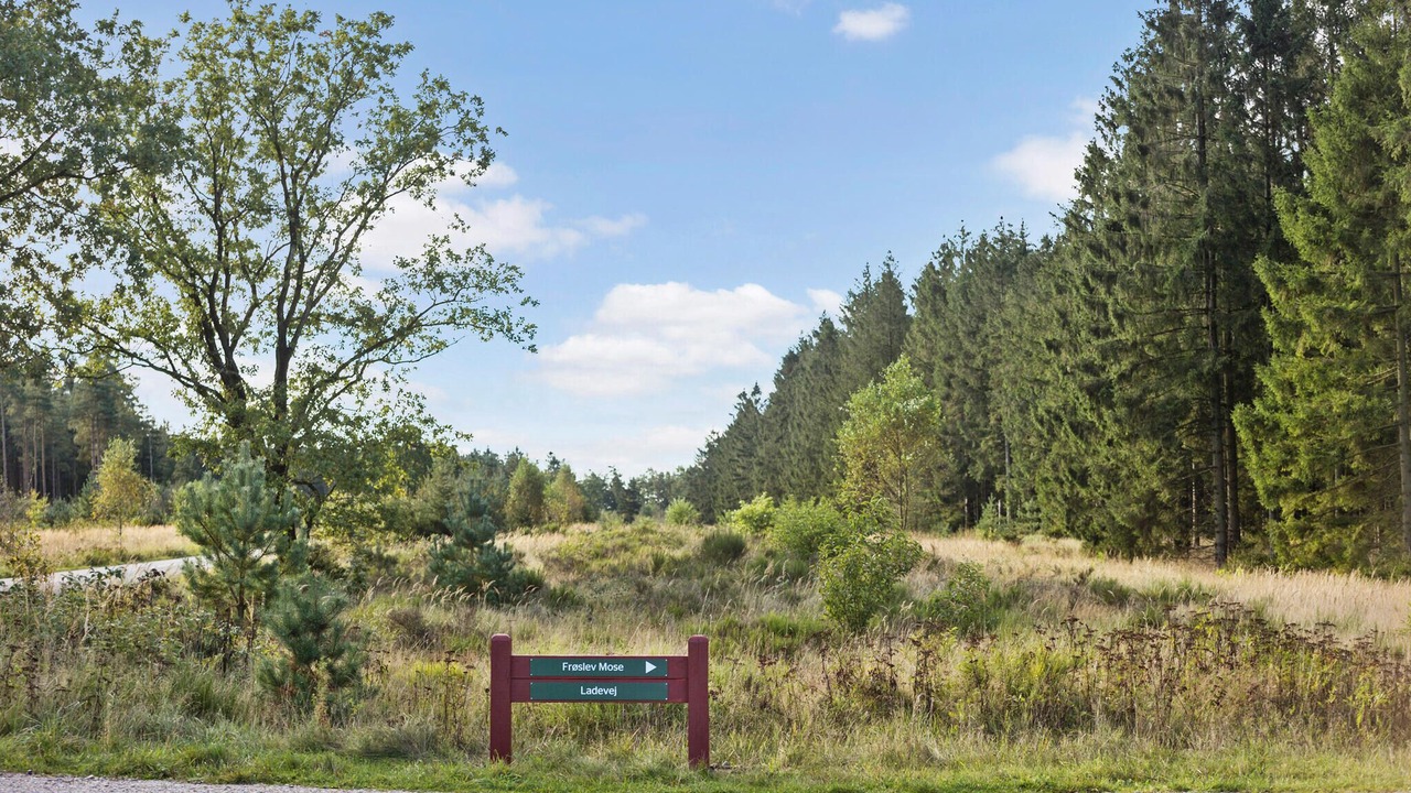 Photo of Others in Padborg