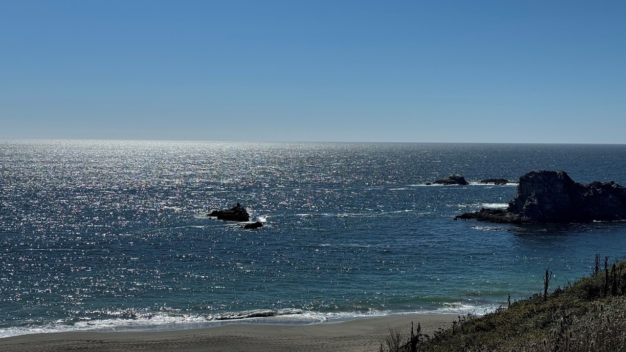 Photo of Others in Bodega Bay