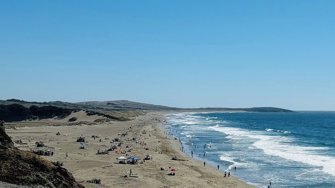 Photo of Others in Bodega Bay
