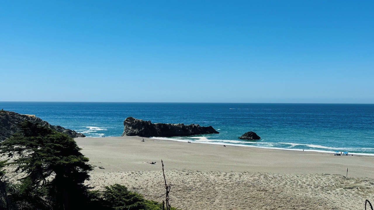 Photo of Others in Bodega Bay