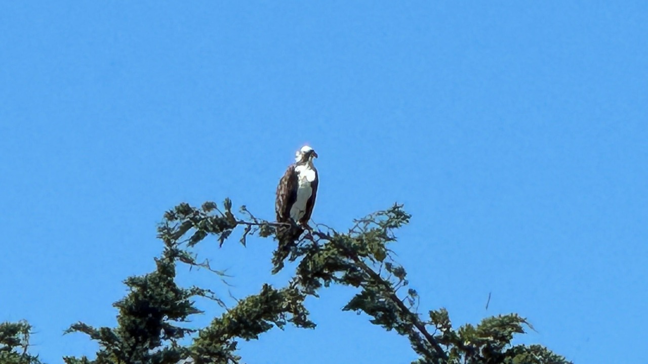 Photo of Others in Bodega Bay