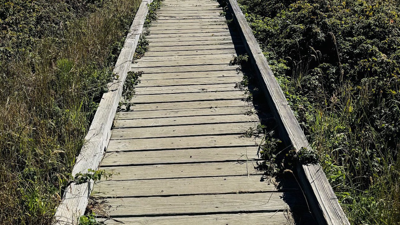 Photo of Others in Bodega Bay