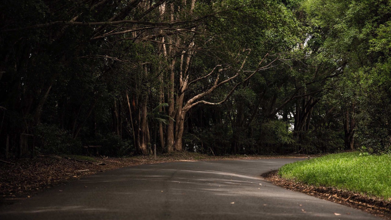 Photo of Others in Federal