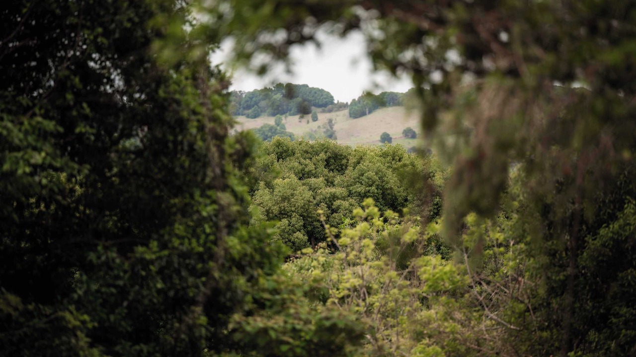 Photo of Others in Federal