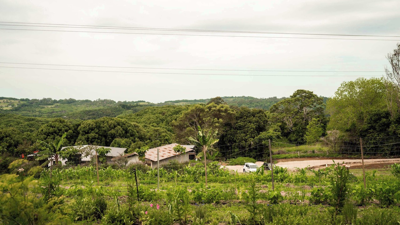 Photo of Others in Federal