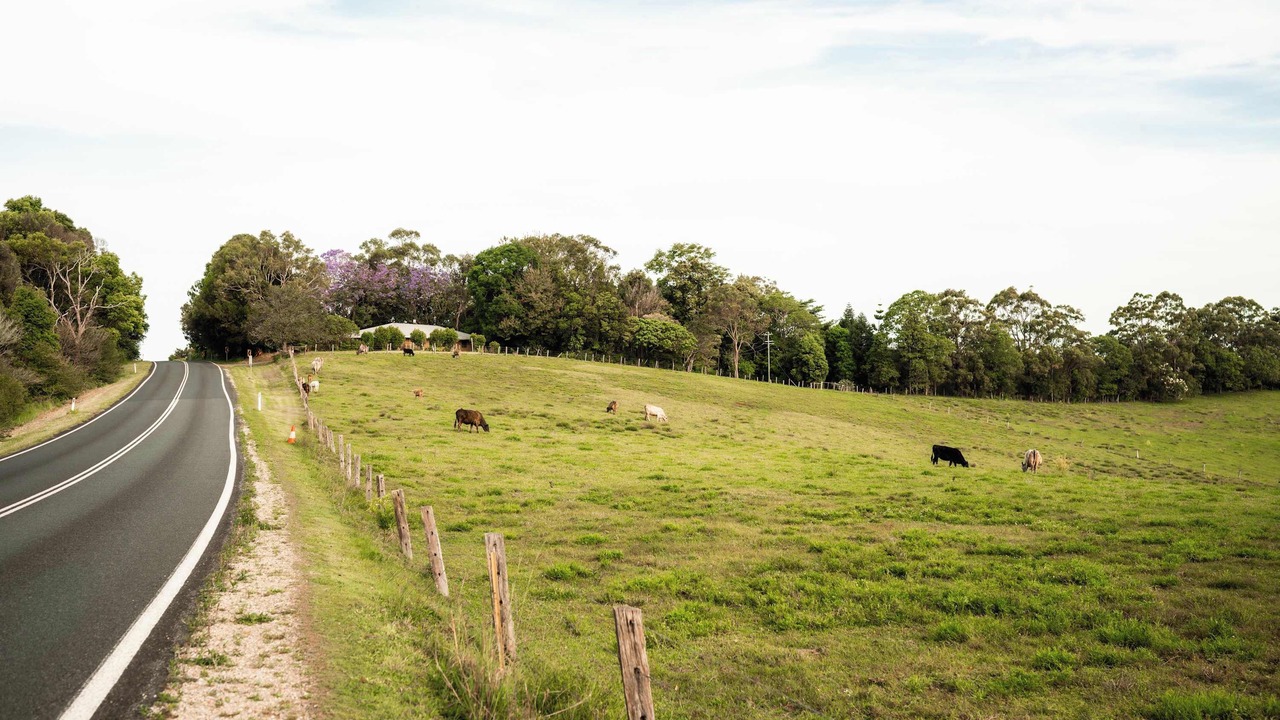 Photo of Others in Federal