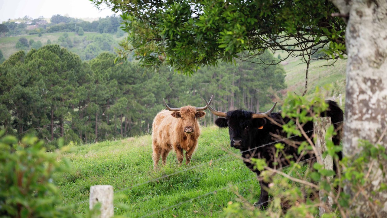 Photo of Others in Federal