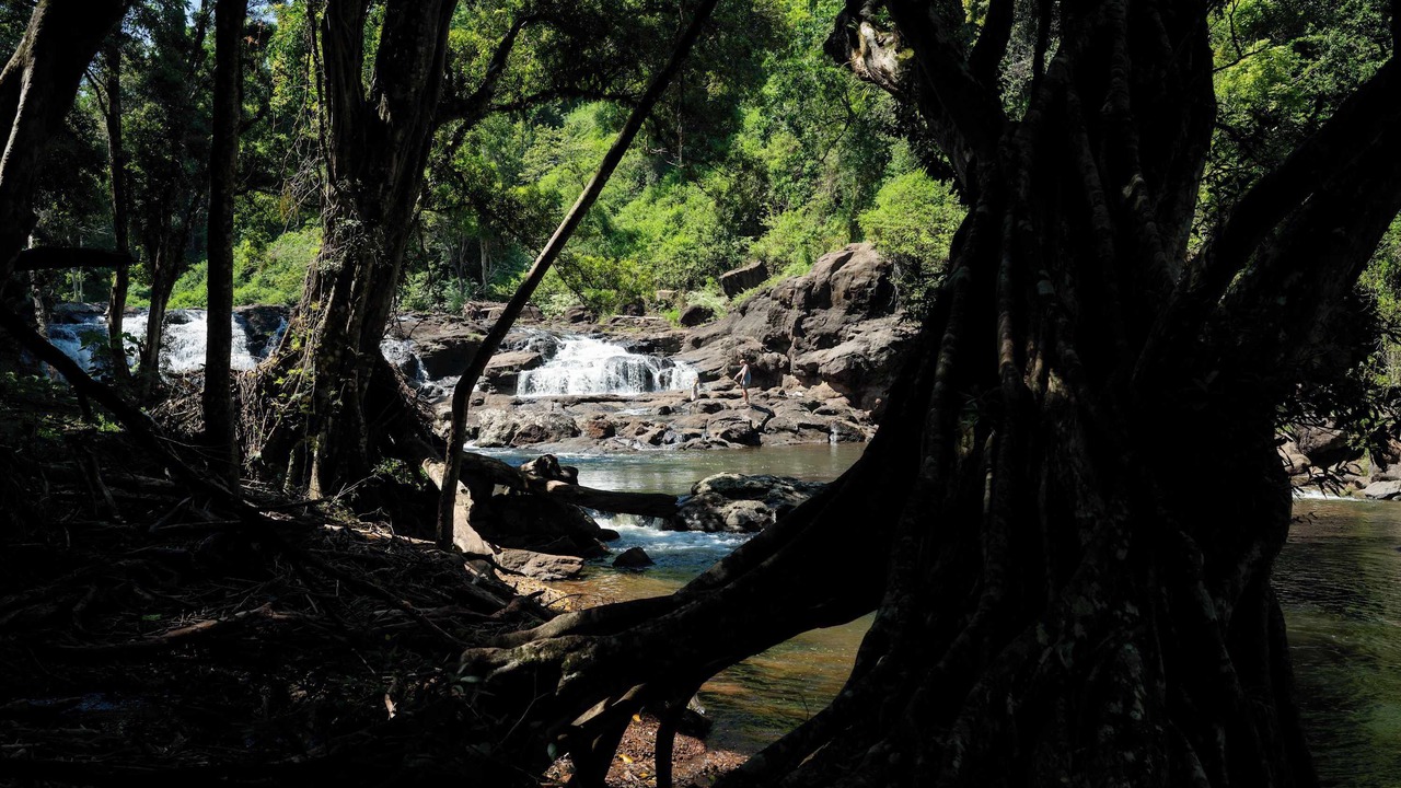 Photo of Others in Federal